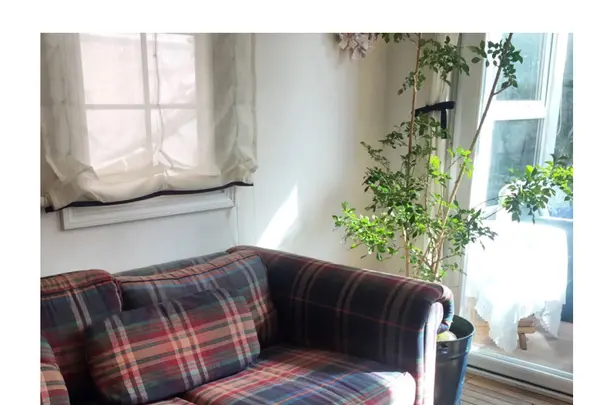 Cafe NAVYの写真・動画_image_275258