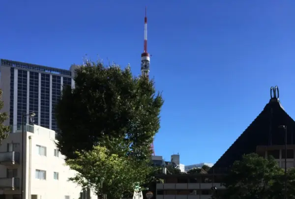 まちの本とサンドイッチの写真・動画_image_275401