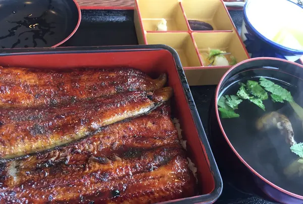 浜名湖うなぎ処勝美 三ケ日本店の写真・動画_image_275637