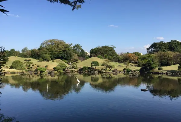 水前寺成趣園の写真・動画_image_275701