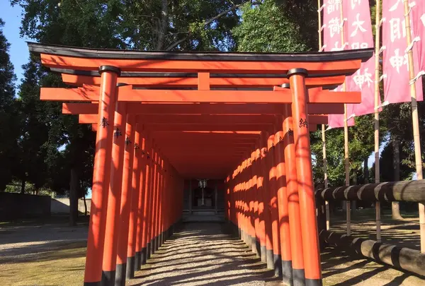 水前寺成趣園の写真・動画_image_275709