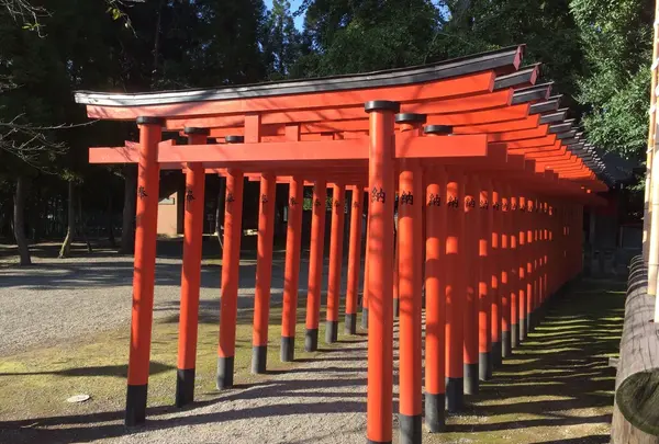 水前寺成趣園の写真・動画_image_275710