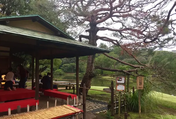 六義園の写真・動画_image_275727