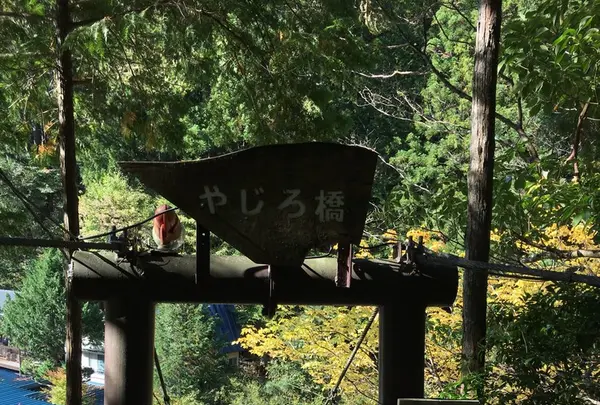 いわなの里峡の写真・動画_image_276080