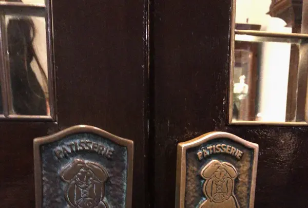 しろたえの写真・動画_image_276452