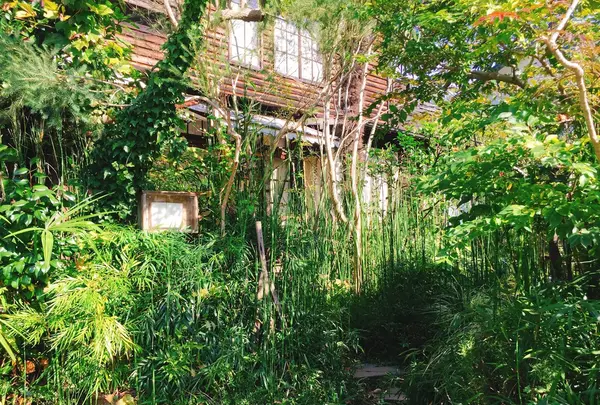 喫茶ミンカの写真・動画_image_276657