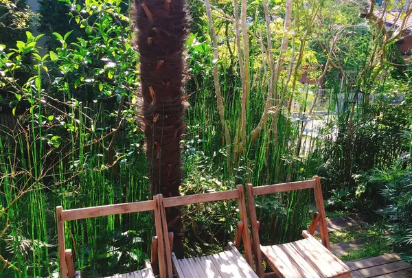 喫茶ミンカの写真・動画_image_276658