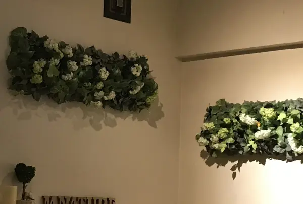 エムナチュール （M. Nature）の写真・動画_image_276879