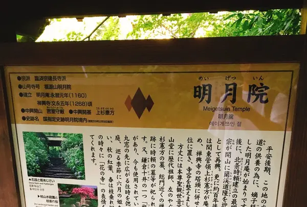 明月院（あじさい寺）の写真・動画_image_276970