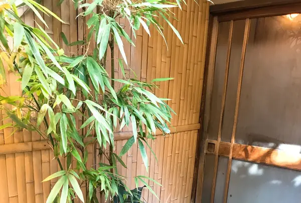 やげんぼり 赤坂店の写真・動画_image_277222