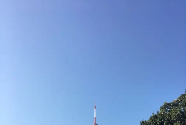 クリスプサラダワークス（CRISP SALAD WORKS） 麻布十番店の写真・動画_image_278353