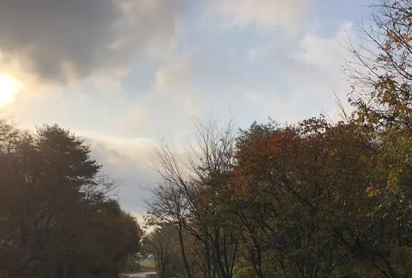 休暇村蒜山高原の写真・動画_image_278446