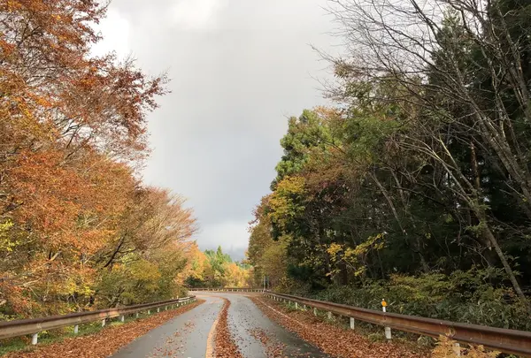 休暇村蒜山高原の写真・動画_image_278448
