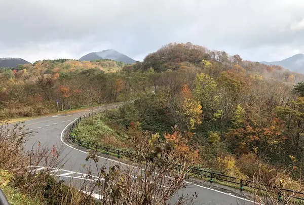 休暇村蒜山高原の写真・動画_image_278449