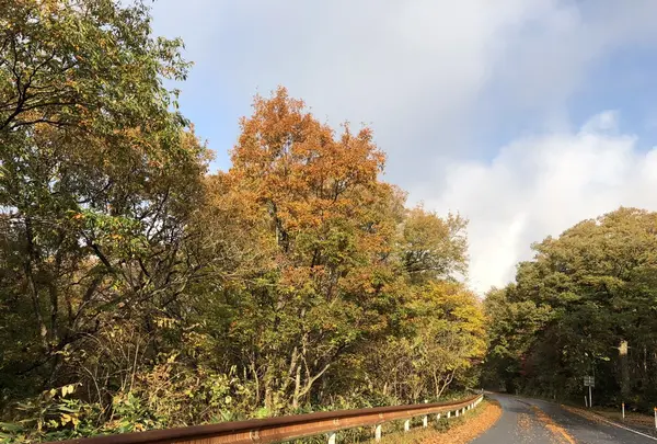 休暇村蒜山高原の写真・動画_image_278450