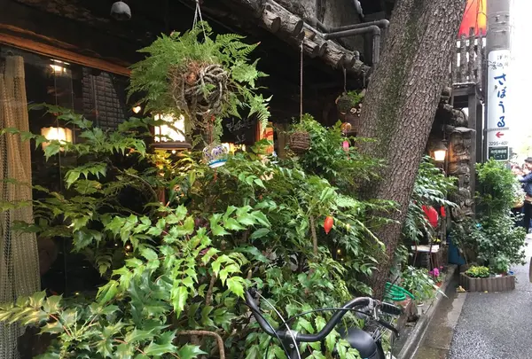 さぼうるの写真・動画_image_279023