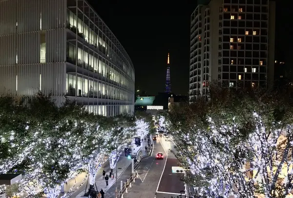 六本木けやき坂通りの写真・動画_image_279055