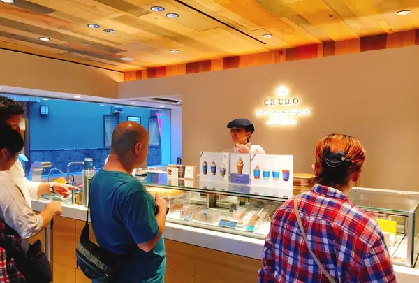 cacao カカオ 鎌倉の写真・動画_image_279102