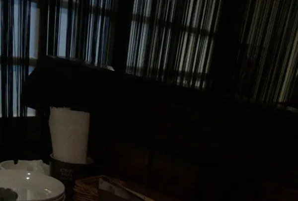 ラヴィの写真・動画_image_279198