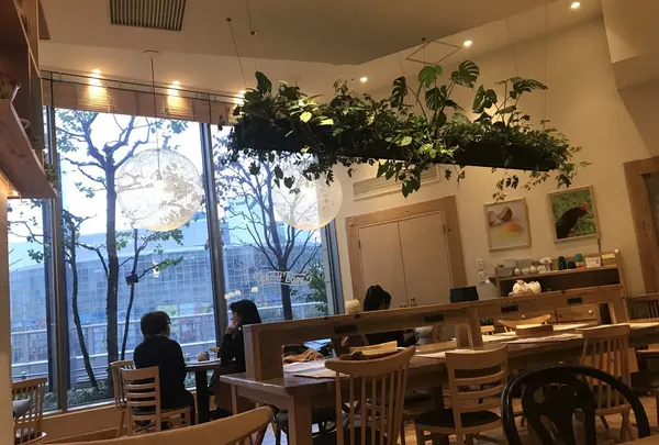 eggcellent（エッグセレント）の写真・動画_image_280041