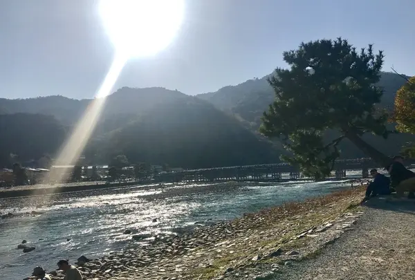 嵐山の写真・動画_image_280215