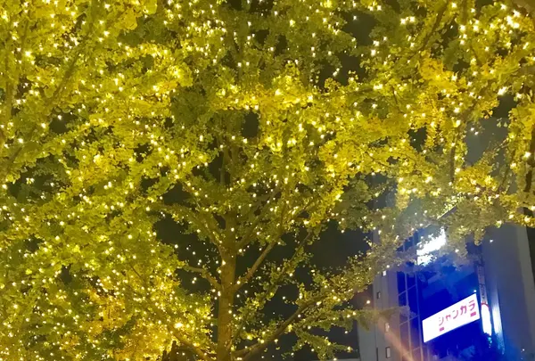 御堂筋の写真・動画_image_280222