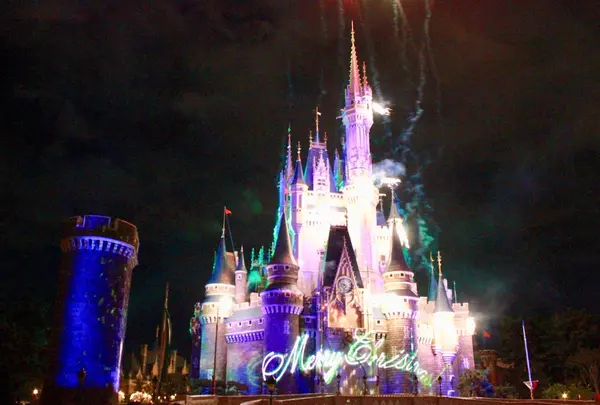 東京ディズニーランドの写真・動画_image_280437