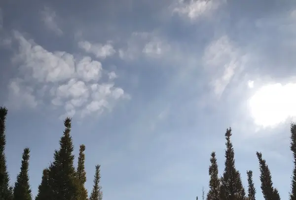 明治神宮外苑いちょう並木の写真・動画_image_280451