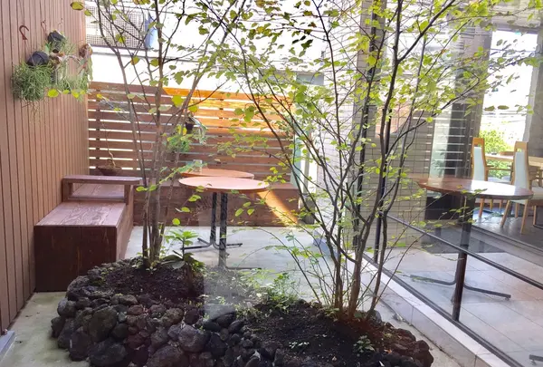 阿空-Asola-の写真・動画_image_280545