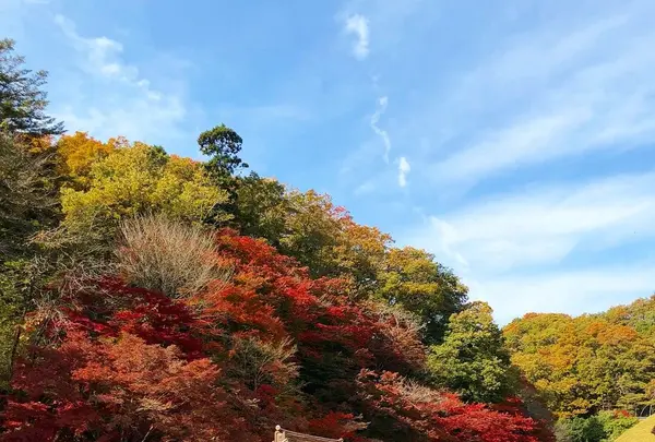 特別史跡旧閑谷学校の写真・動画_image_280579