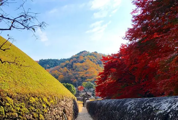 特別史跡旧閑谷学校の写真・動画_image_280582