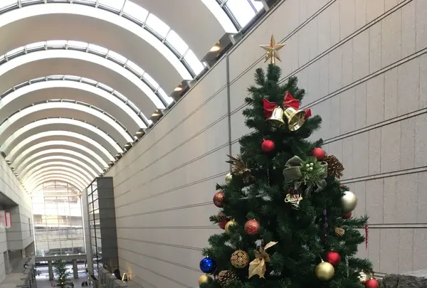 東京オペラシティの写真・動画_image_281330