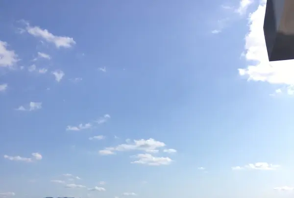 唐津城の写真・動画_image_281332