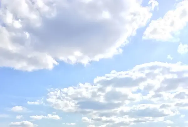 大濠公園の写真・動画_image_281334