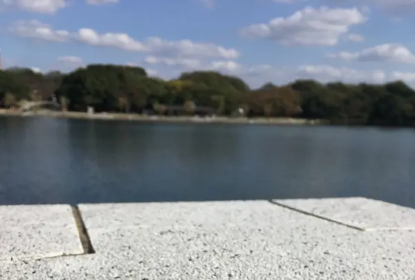 大濠公園の写真・動画_image_281336