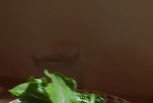 クルートの写真・動画_image_281358