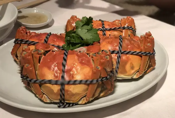 シェフスの写真・動画_image_281376