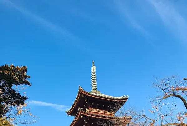 上野東照宮の写真・動画_image_281952