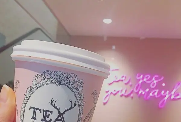 【閉業】アルフレッドティールーム 青山本店 （ALFRED TEA ROOM） の写真・動画_image_282029