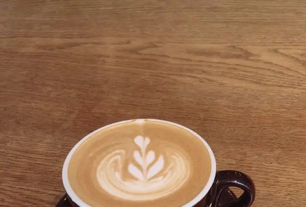 OBSCURA COFFEE ROASTERS Hiroshima Fukuromachiの写真・動画_image_282415