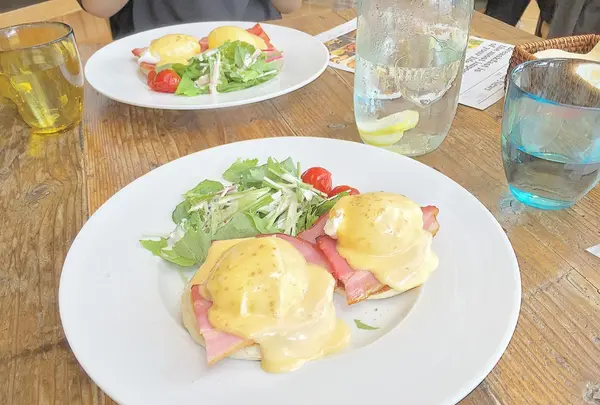 eggcellent（エッグセレント）の写真・動画_image_282595