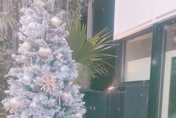 BOTANIST Tokyoの写真・動画_image_282603