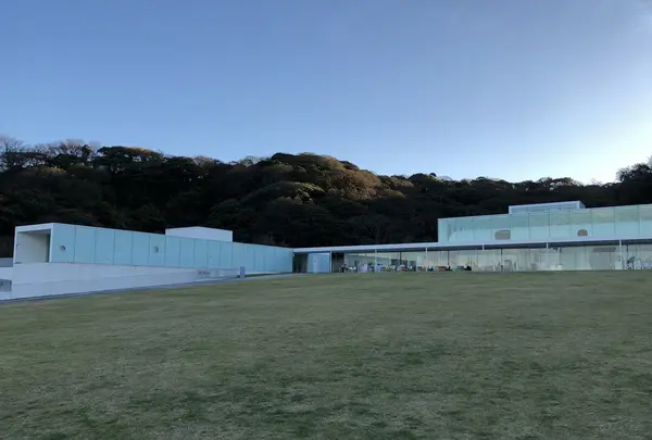 横須賀美術館の写真・動画_image_282672