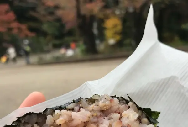 江戸の玄むすの写真・動画_image_282912
