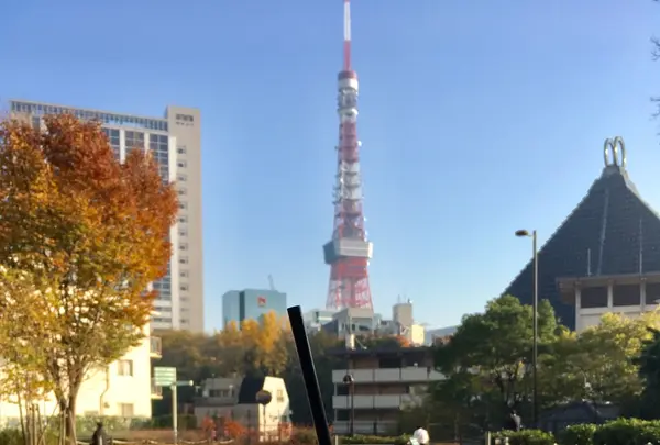 まちの本とサンドイッチの写真・動画_image_283076
