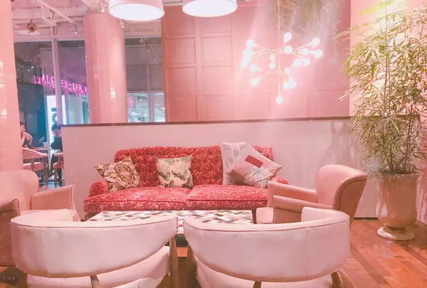 【閉業】アルフレッドティールーム 青山本店 （ALFRED TEA ROOM） の写真・動画_image_283138