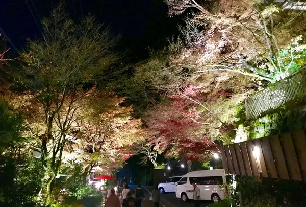 貴船神社の写真・動画_image_283237