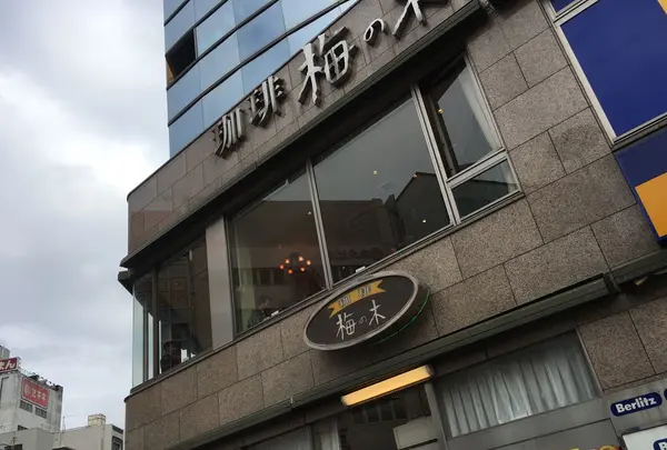 梅の木 本店の写真・動画_image_283598