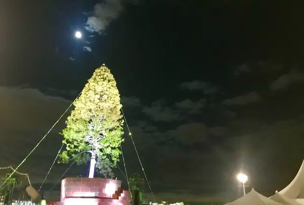 神戸ハーバーランドumieの写真・動画_image_283659