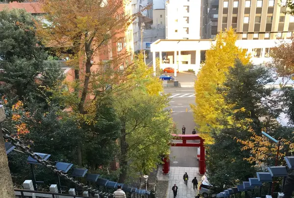 愛宕神社の写真・動画_image_283777